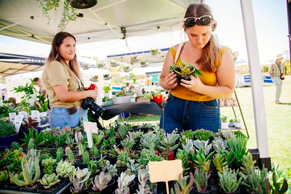 two young women browsing a market stall selling pot plants at Darkan Sheepfest