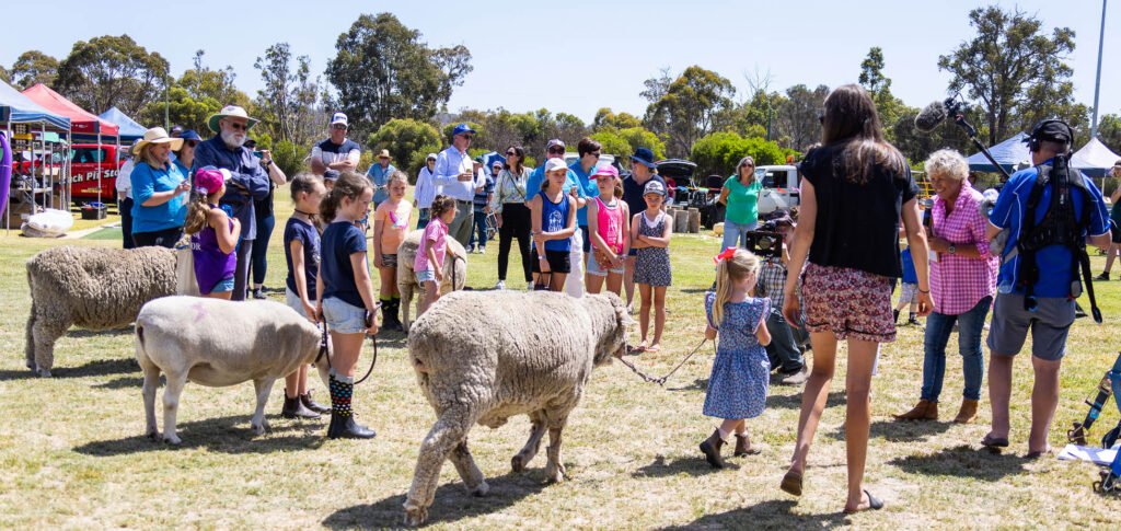 Photo of sheep parading in the Best pet Sheep competition at the Darkan SHeepfest 2023, judged by Heather Ewert of the ABC Backroads program.